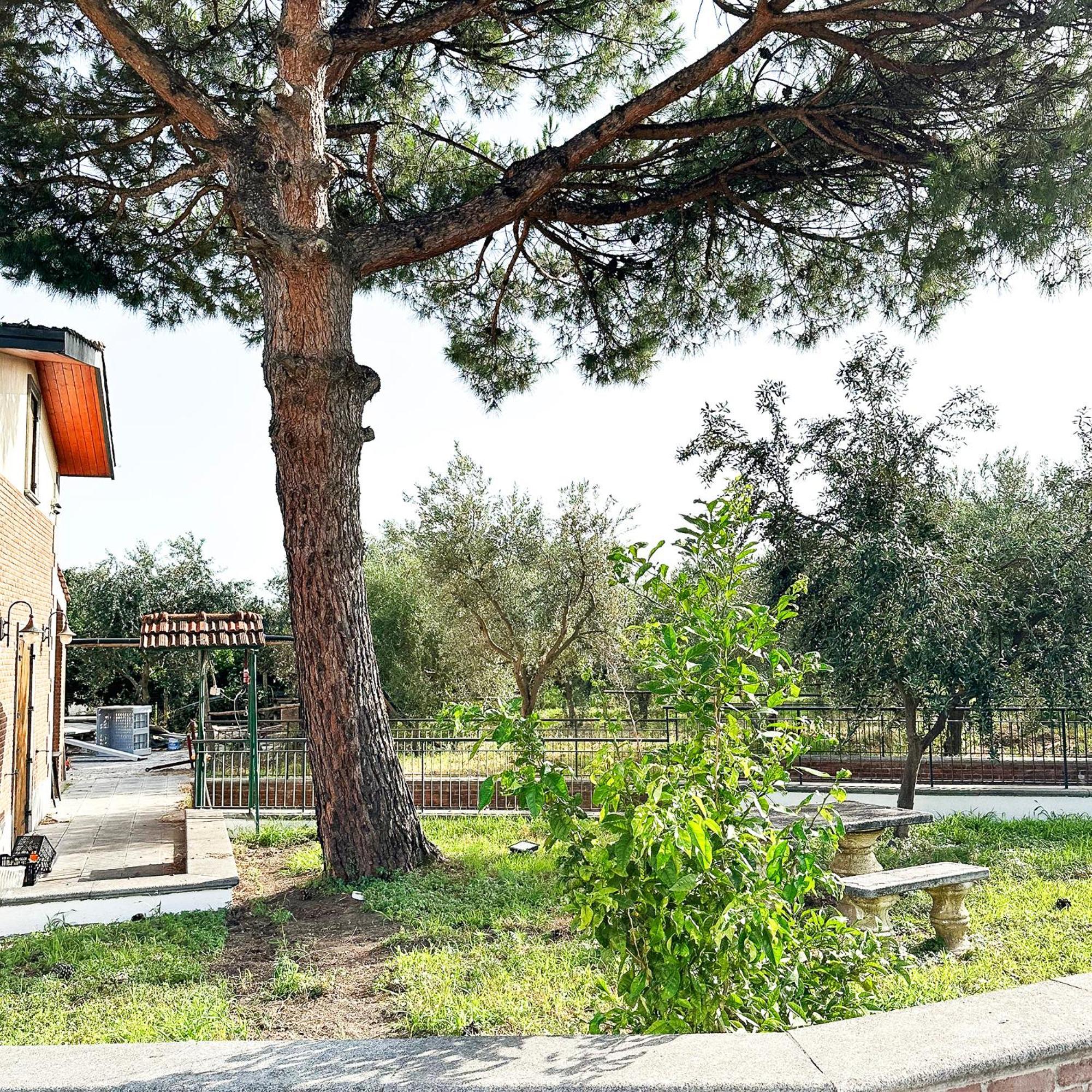 Tenuta Nunziata - Food, Event, Biofarm ตอร์เร อันนุนซิอาตา ภายนอก รูปภาพ