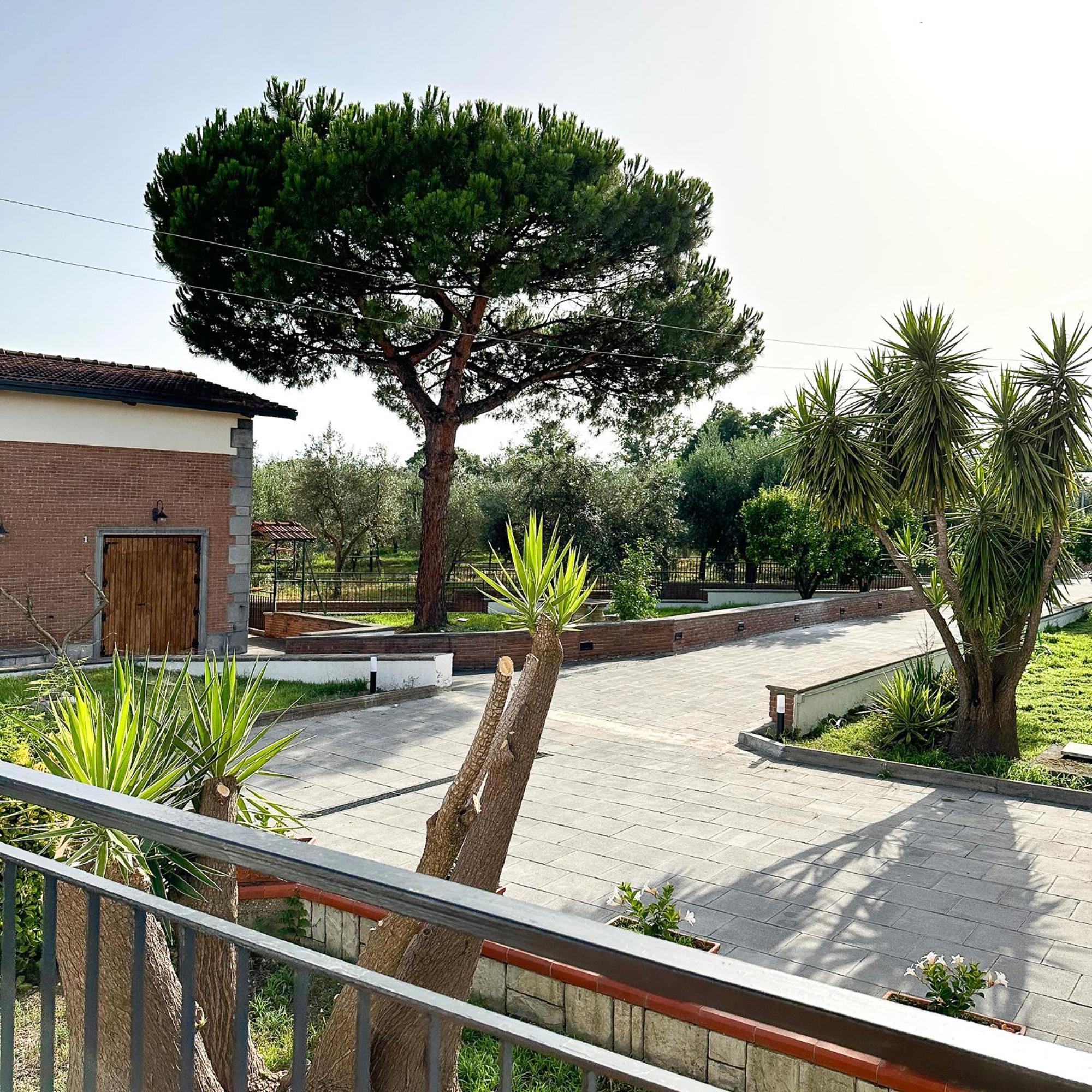 Tenuta Nunziata - Food, Event, Biofarm ตอร์เร อันนุนซิอาตา ภายนอก รูปภาพ